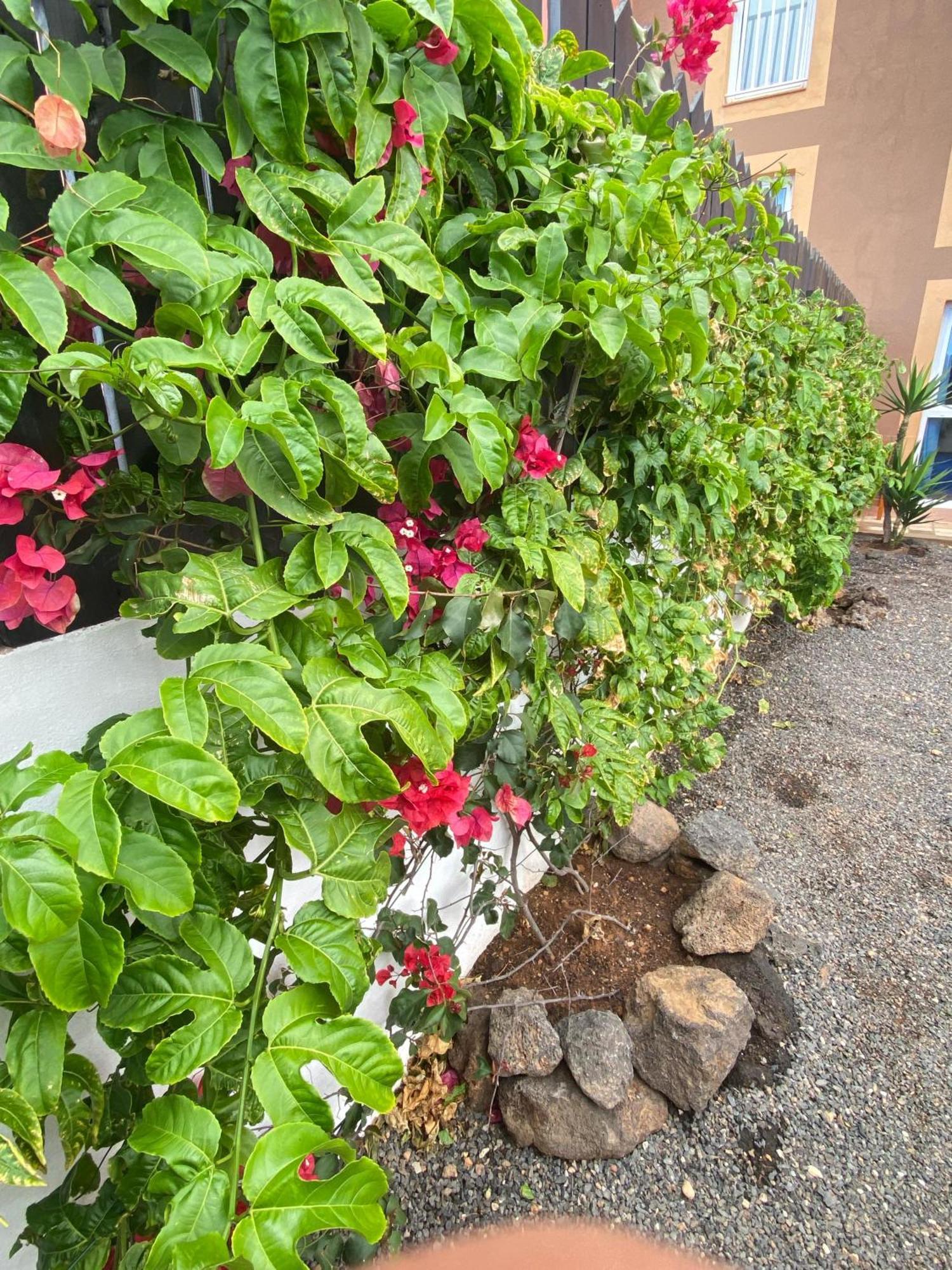 Blue Wave House Corralejo Apartment La Oliva Exterior foto